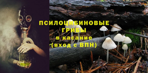 хмурый Балахна