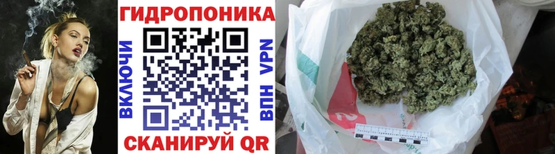 где найти   ОМГ ОМГ зеркало  Бошки Шишки тримм  Горняк 